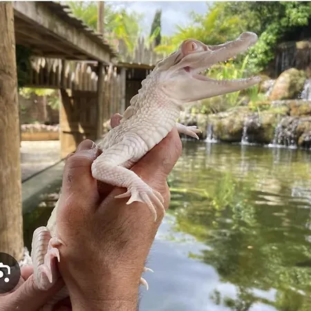 Tatil Evi La Buguoise *