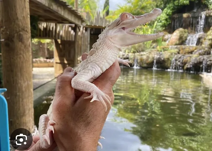 Semesterbostad La Buguoise *